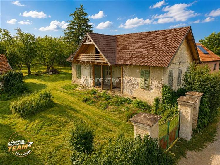 FILM! Casa personalizabila +2.700mp teren,pomi fructiferi,langa Sfantu Gheorghe: - 7