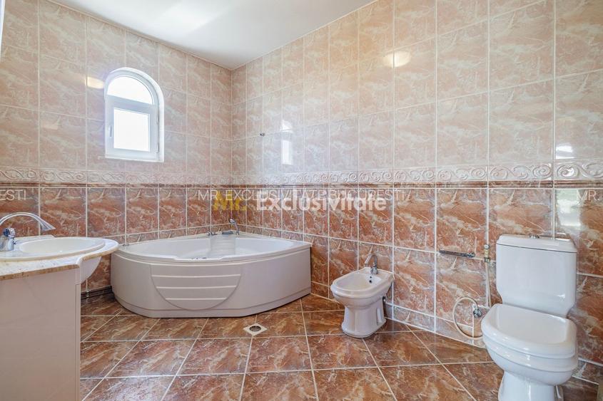 Domeniu privat 5.000 mp, cu reședință de 625 mp și piscină, Corbeanca - 30