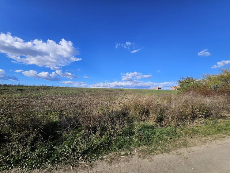 Teren intravilan Balotesti / 5.000 mp / D: 18 m / langa lac / comision 0% - 6