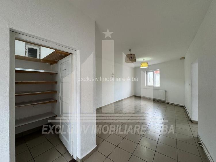 Spatiu comercial | Spatiu birouri | Curte | Terasa | Sebes - 4