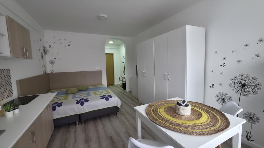 Garsonieră pet-friendly, utilități incluse, Str. București