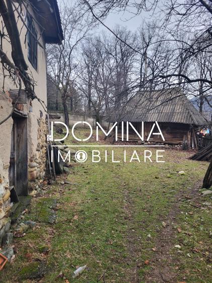 Teren generos 4790 mp + casă tradițională, în loc. Mușetești