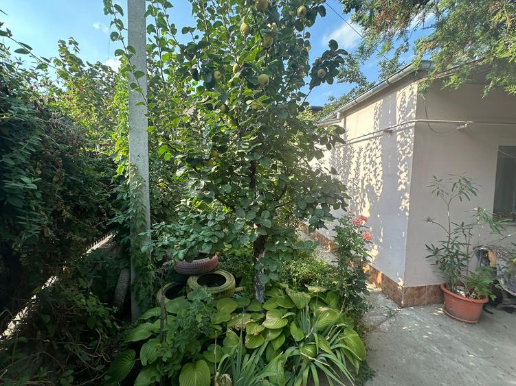 Casa si teren zona teatrul Maior Gheorghe Pastia, Focsani, jud. Vrancea.