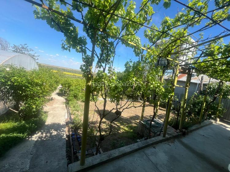 Vand casa cu livada si solar + spatiu comercial in sat Cismele (1498 mp) - 12