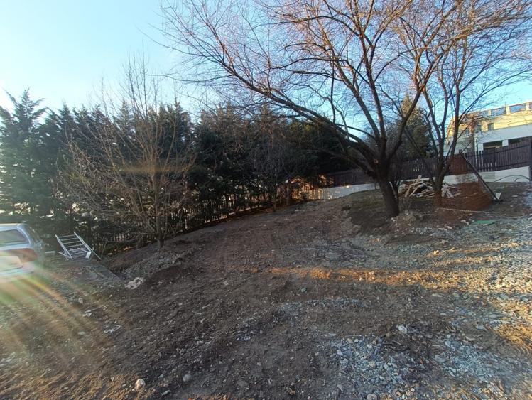 Teren 500 mp Str. Magnoliei 9/9A – cu proiect casă P+E