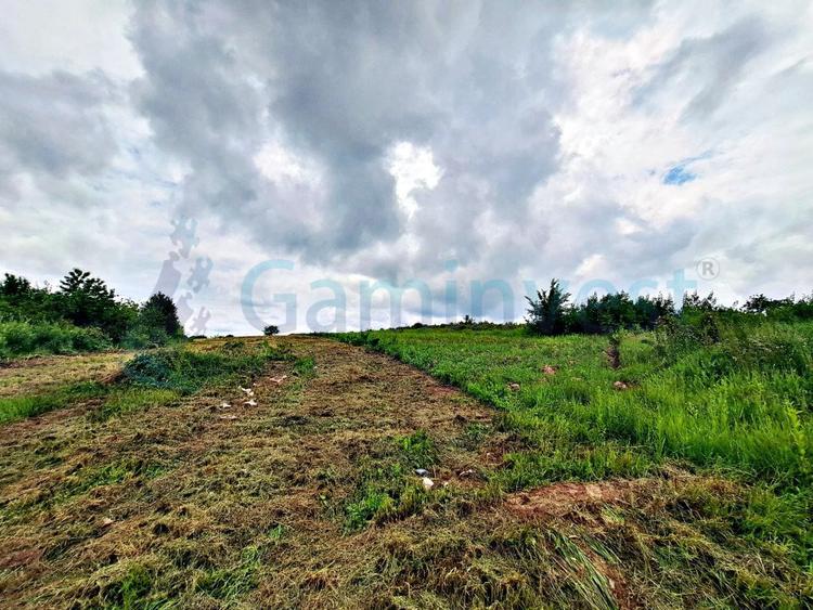 Teren intravilan 2000 mp, Sanmartin, Bihor