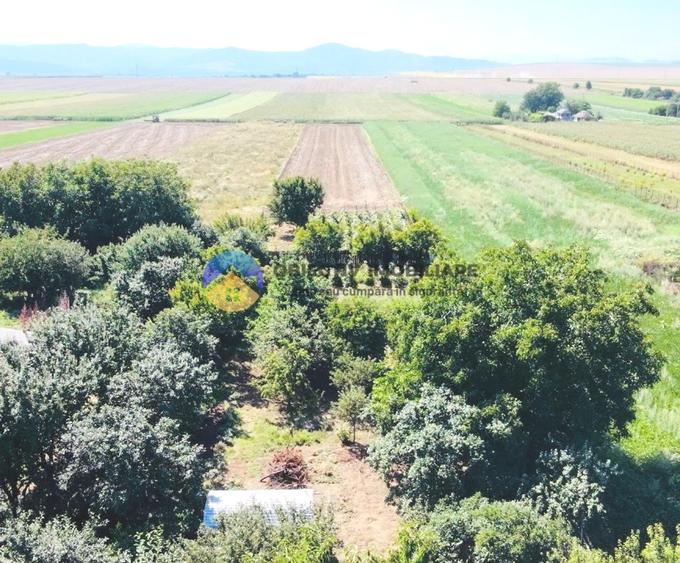 CASĂ cu teren 5803 mp GIROV, judetul Neamț.