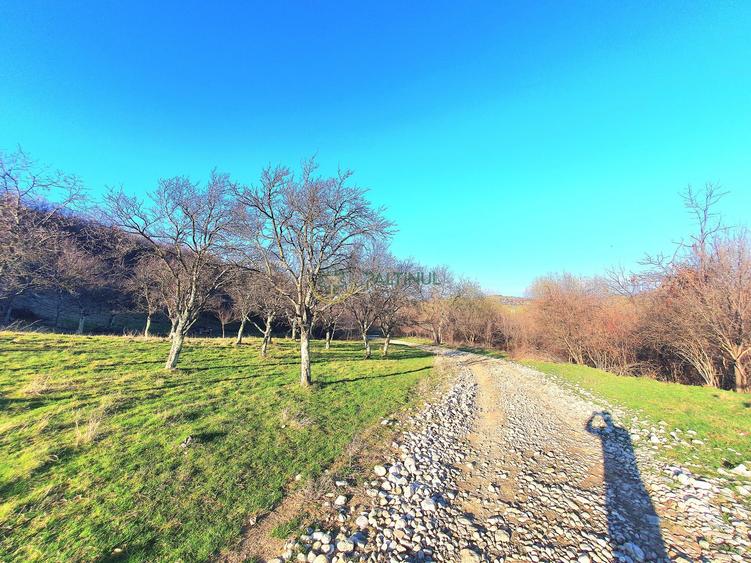 Teren 1.648 mp de vânzare – Cisnădioara, Sibiu