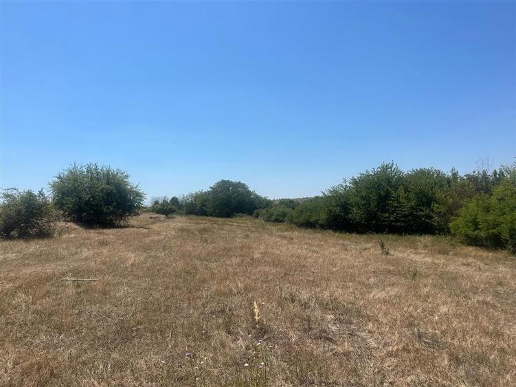 RECO Teren extravilan Holod 27400 mp