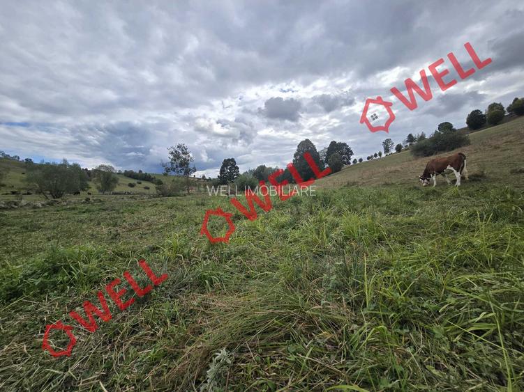 Teren de vânzare în Barcani, zona Nadeș! - 7
