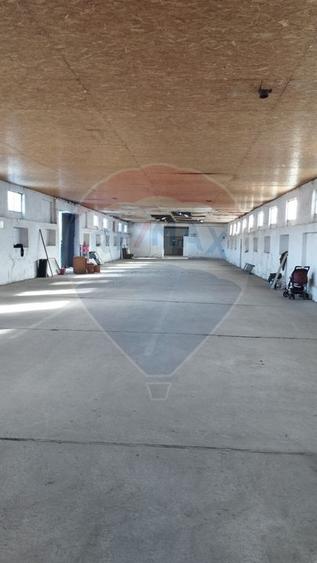Spațiu industrial/hala de vanzare - Piatra Neamt
