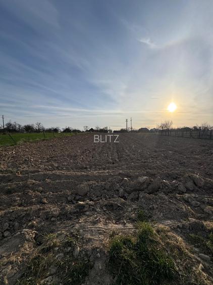 Casă Asuaju de Sus, 47 ari teren, investiție, necesită renovare - 4