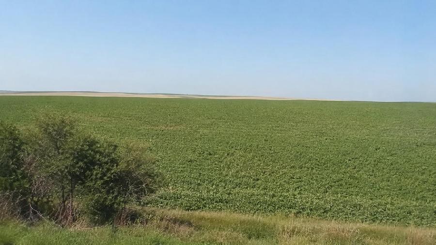 Udesti, Suceava - Teren extravilan arabil 2.300 mp | 1.800 EURO