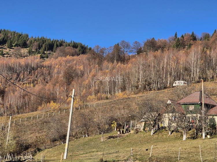 Teren de vânzare în sat Măgura/ Brasov– loc pentru familie, liniște și suflet - 27