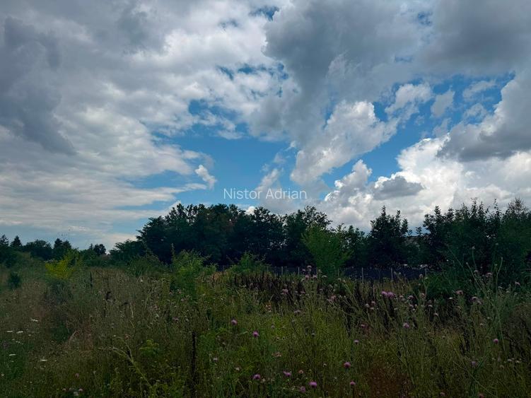 Buftea ultracentral  toate utilitatile la teren   - 12