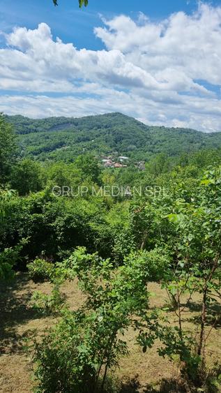 Proprietate de vanzare in Golești - 10800 mp teren și două case - 7