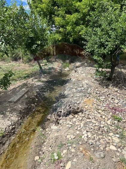 Teren 4,900mp intravilan Bizighesti