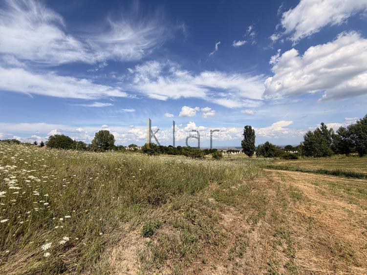 Teren 2900 m2 in Aiton ideal pentru investitie - 6