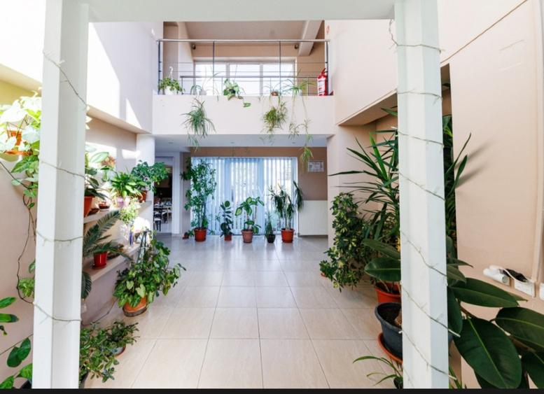 Pensiune/cabinet medical/locuit cu Piscină de Inchiriat în Timișoara - 8