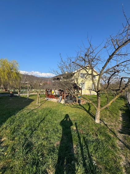 Vilă premium Tăuții de Sus, 250 mp, teren 14 ari, tenis & panoramă
