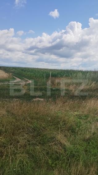 Teren de vânzare, poziție excelentă, pentru investiție, în Cristian