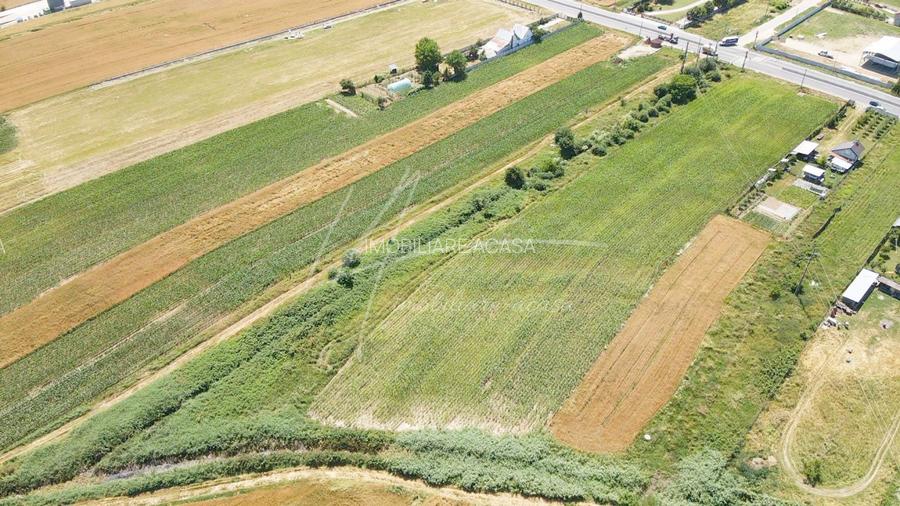 Teren cu potențial de dezvoltare –7427 mp în Argeșelu, Mărăcineni, județul Arges - 7