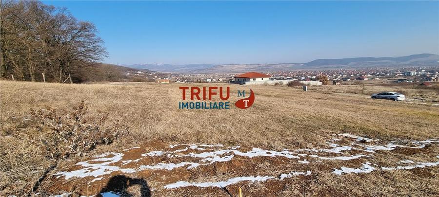 Teren 528 mp de vanzare Alba Micesti spre padure