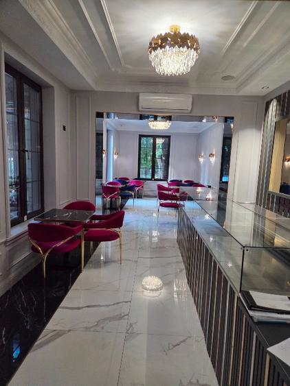 Vand spatiu comercial cental