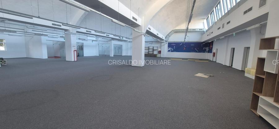 Spatiu de birouri / comercial / show room Domenii - Parcul Copilului