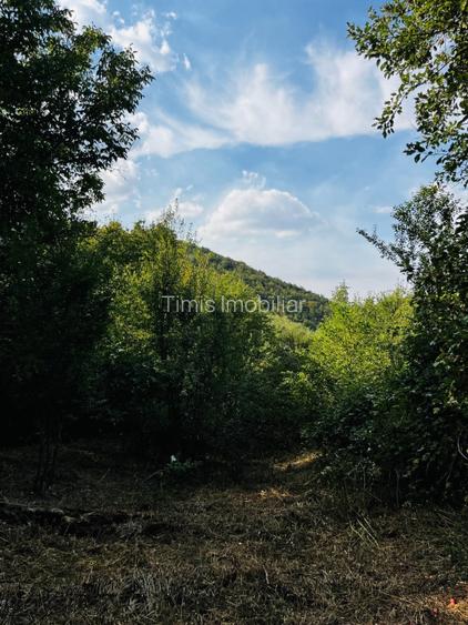 Teren 4.173 mp, front 60 m – Văliug, aproape de Lacul Gozna - 18