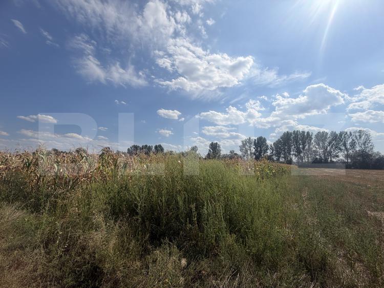 Teren extravilan, 9000 mp, zona Nusfalau