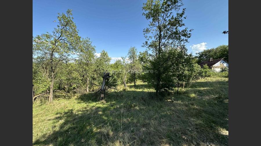 Vânzare teren Reșița: 17260 mp, Calea Caransebeșului
 - 3