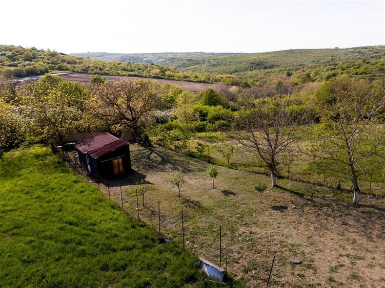 RECO Teren, zona Gheorghe Doja Saldabagiu de Munte, 1129 mp, panorama