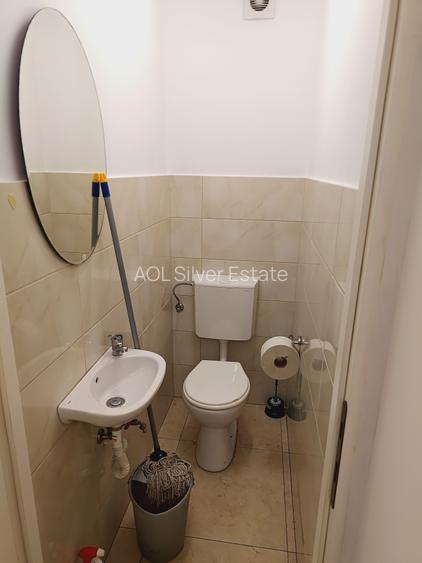 Spatiu comercial de inchiriat Motilor - 20