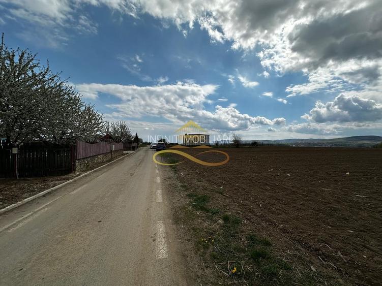 De vanzare doua loturi de teren in Fantanele-Bacau - 3