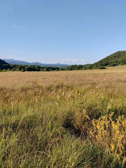 Vața TermalSpa.Transilvania.Drumul Regelui.