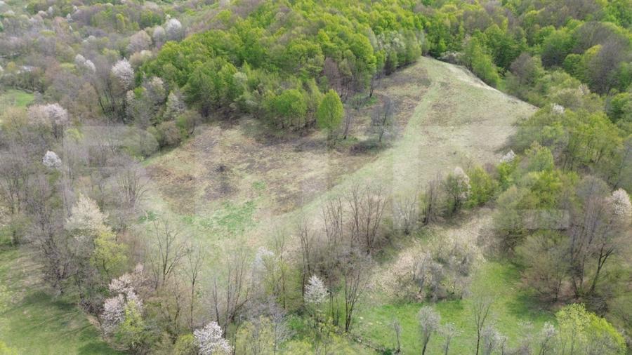 Teren extravilan 3.38 ha, zonă naturală superbă, Almasu Mare