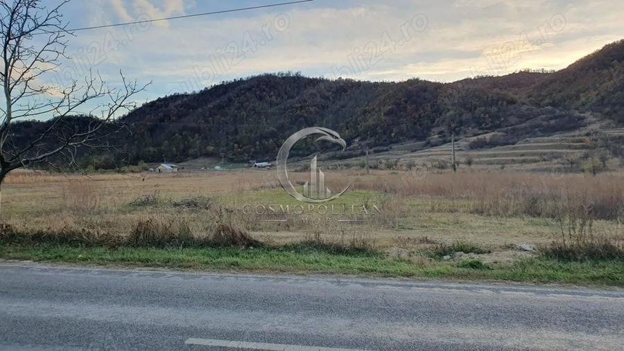 Teren intravilan zona Candesti BZ 10.000mp d=52m la DN10 Pret: 12 mp neg.