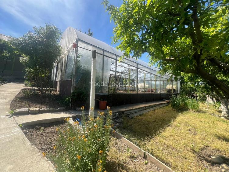 Vand casa cu livada si solar + spatiu comercial in sat Cismele (1498 mp) - 10