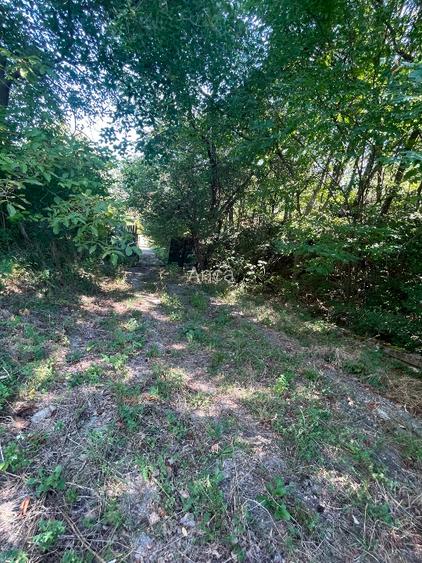 Teren constructii intravilan 3600mp Morilor - 9