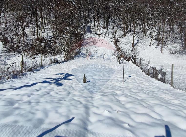 Teren intravilan în Tilișca, zonă montană superba! - 6
