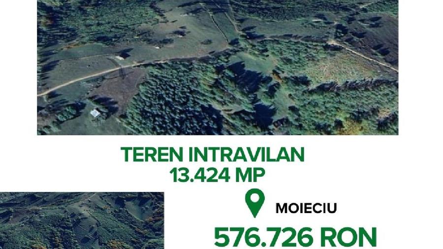 Teren intravilan - 13.424 mp, Com. Moieciu