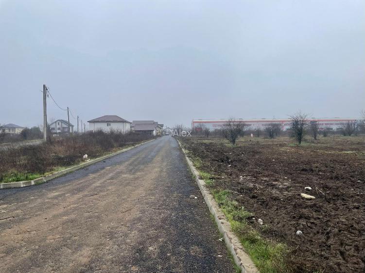 de vinzare teren 5700 mp Clinceni - 8