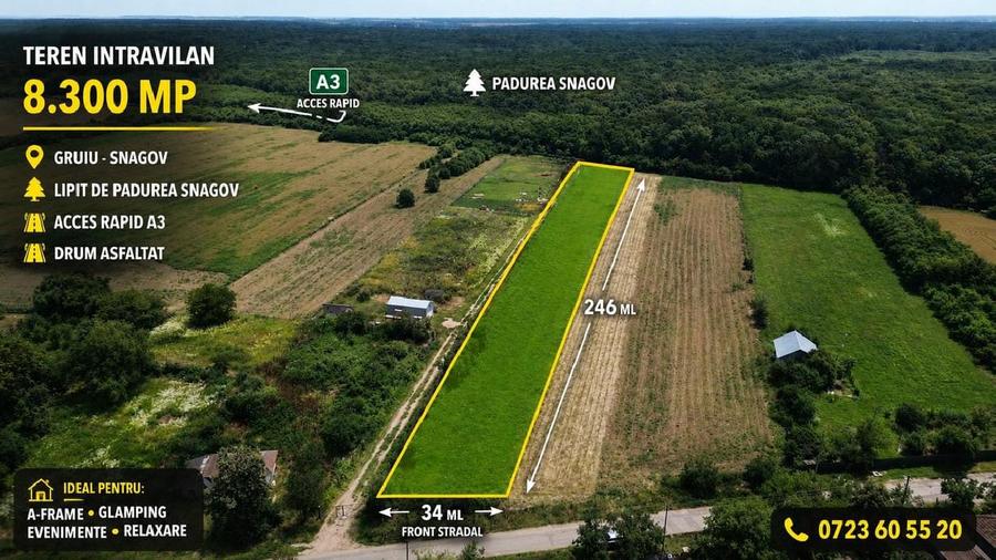 OCAZIE - Teren Intravilan - 8300 mp, Gruiu - Padurea Snagov
