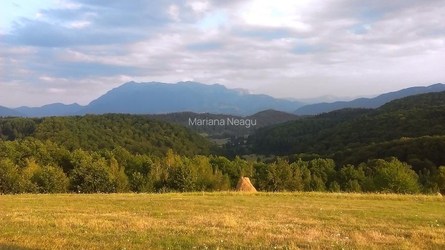 Teren Poiana Mărului Brașov,  PUZ, 11600mp, pe ruta via Transilvanica - 12