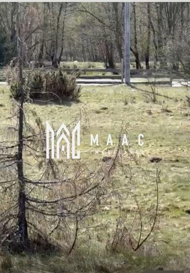 Teren Intravilan I 3717 mp I Zona Turistica Porumbacu de Sus