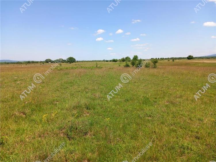 Teren intravilan 5000 mp pe Valea Avrigului, Sibiu
