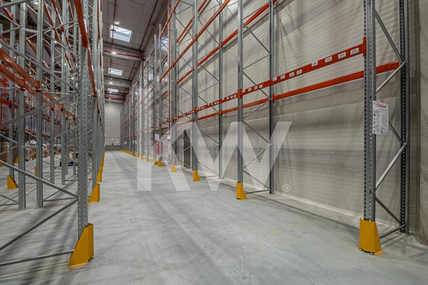Hală industrială 6000 mp în Brașov – disponibilă spre închiriere, Comision 0%