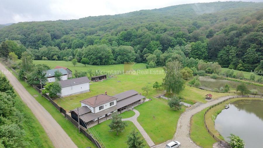 Complex turistic și proprietate deosebită de vânzare în Valea Dobârlău - 5