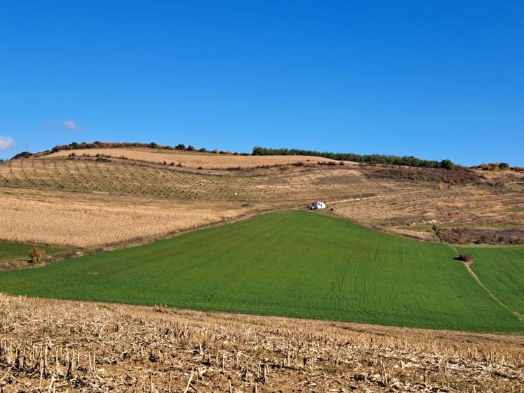 Teren agricol de vanzare